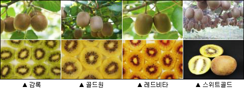 이미지 대체 내용을 작성합니다.