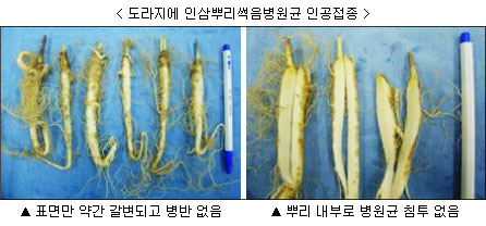 이미지 대체 내용을 작성합니다.