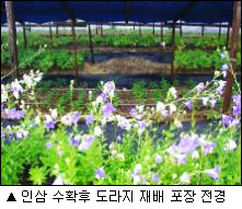 이미지 대체 내용을 작성합니다.