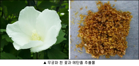 이미지 대체 내용을 작성합니다.