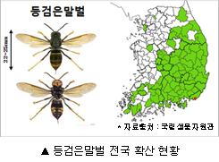 이미지 대체 내용을 작성합니다.