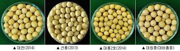 이미지 대체 내용을 작성합니다.