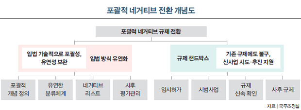 포괄적 네거티브 전환 개념도