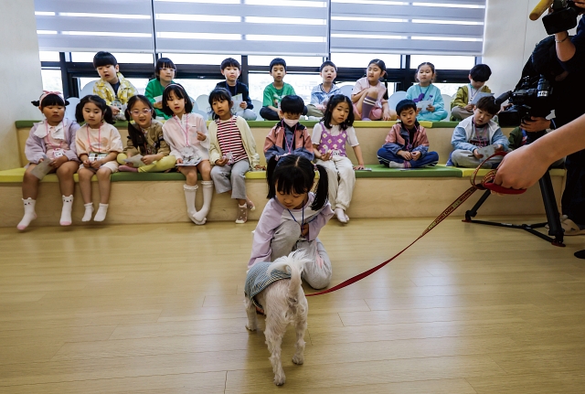 5월 2일 서울 구로구 키움센터에서 서울매봉초등학교와 서울오류남초등학교 학생들이 반려동물 교감 프로그램에 참여하고 있다. 사진 뉴시스