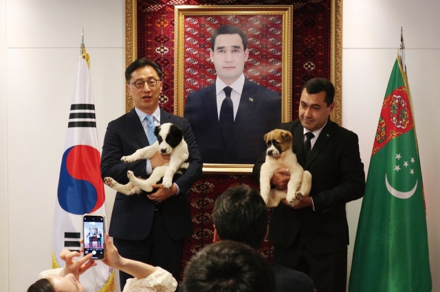 윤석열 대통령이 중앙아시아 순방에서 선물로 받은 투르크메니스탄 국견(國犬) 알라바이 두 마리가 6월 19일 주한 투르크메니스탄대사관에서 증서 교환식을 갖고 한국 정부에 공식 인계됐다. 사진 대통령실
