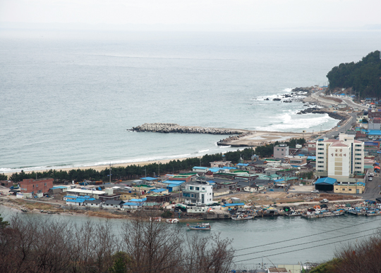 해맞이 등산로 입구에서 바라본 강구항.