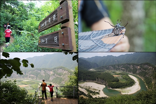 동강 최고의 풍경을 볼 수 있는 칠족령 트래킹 