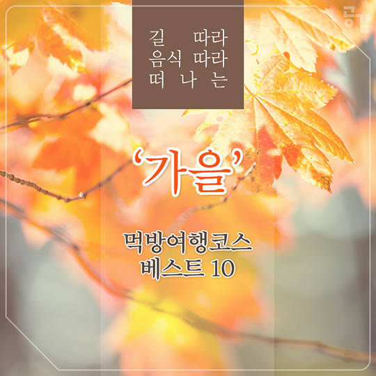 가을 먹방코스 베스트 10!