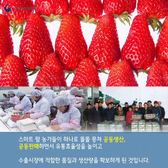 똑똑한 농부들의 비밀, 스마트 팜