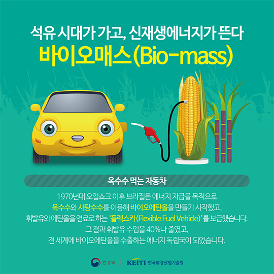 석유 시대가 가고, 신재생에너지가 뜬다 바이오매스(Bio-mass)