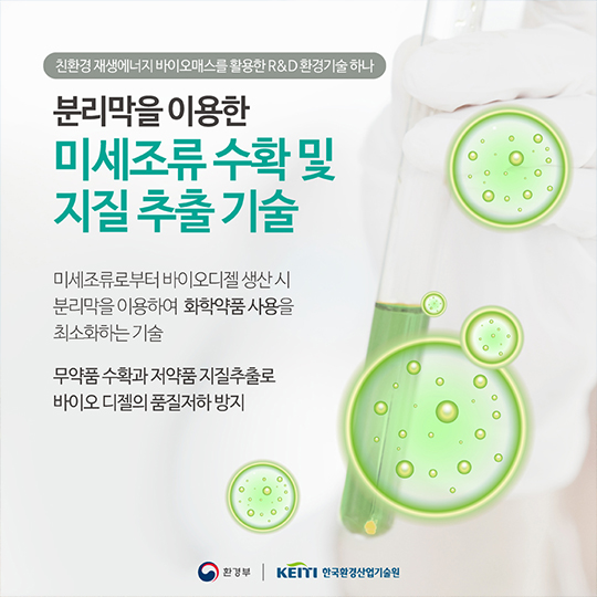 석유 시대가 가고, 신재생에너지가 뜬다 바이오매스(Bio-mass)