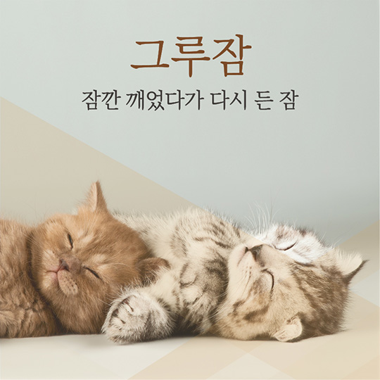 아름다운 순우리말, 얼마나 알고 계세요?