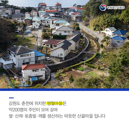 농촌과 기업이 함께하는 수상한 프로젝트