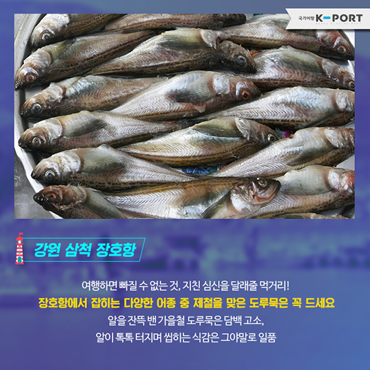 가을/겨울 ‘국가어항’여행지_장호항, 대진항 편