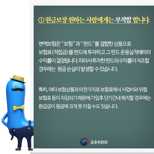 변액보험의 특성과 가입자 유의사항