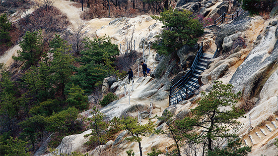 서울 서대문구 안산자락길은 초록이 바래고 회색빛으로 뒤덮이는 겨울에도 제 멋을 잃지 않는다. 순환형 무장애 숲길로 2시간이면 겨울산의 장쾌함을 한껏 느끼고 출발한 곳으로 되돌아올 수 있다.