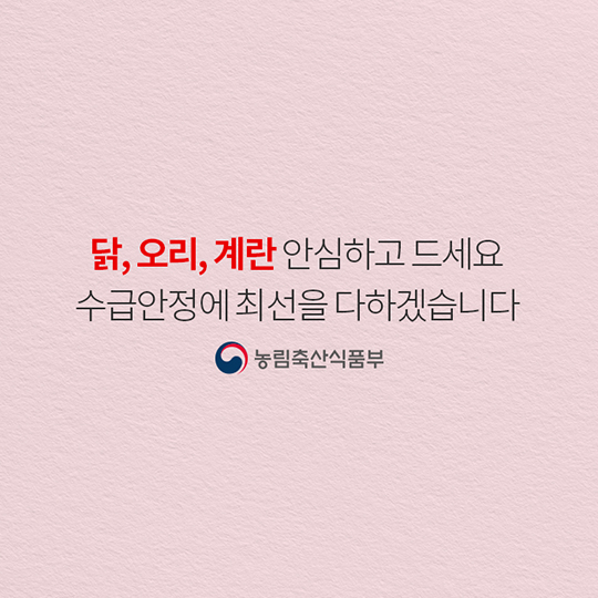 계란 수급 안정, 이렇게 추진하고 있습니다