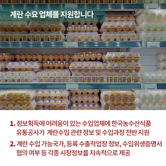 계란 수급 안정, 이렇게 추진하고 있습니다