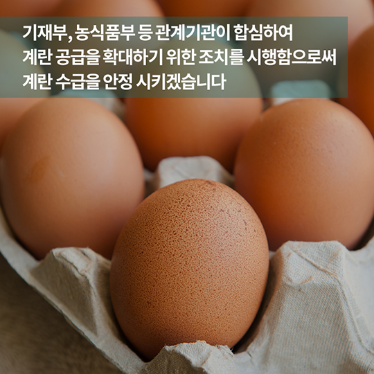 계란 수급 안정, 이렇게 추진하고 있습니다