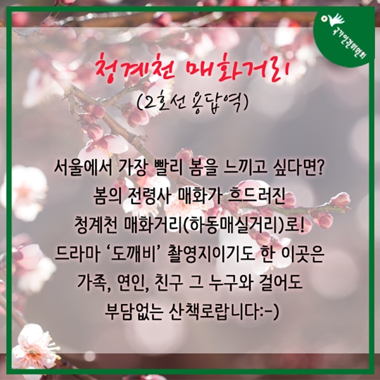 지하철 타고 떠나는 서울 근교 봄나들이