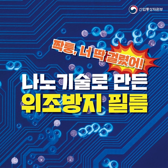 짝퉁, 너 딱 걸렸어!