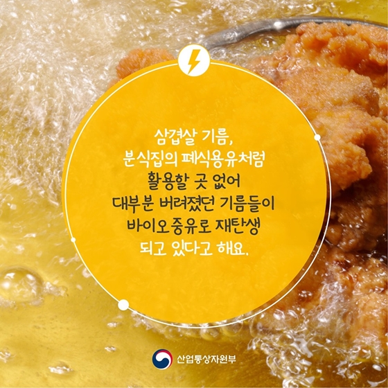 삼겹살 기름으로 전기를 만든다고요?