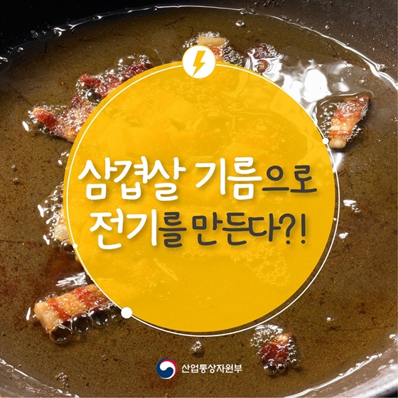 삼겹살 기름으로 전기를 만든다고요?