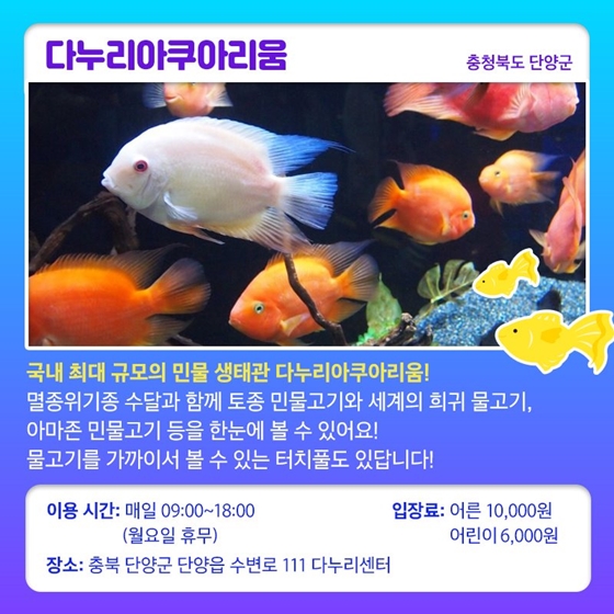 푸른 바닷속 세상을 만날 수 있는 아쿠아리움으로 떠나요!