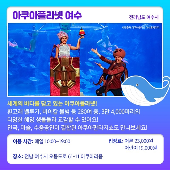 푸른 바닷속 세상을 만날 수 있는 아쿠아리움으로 떠나요!