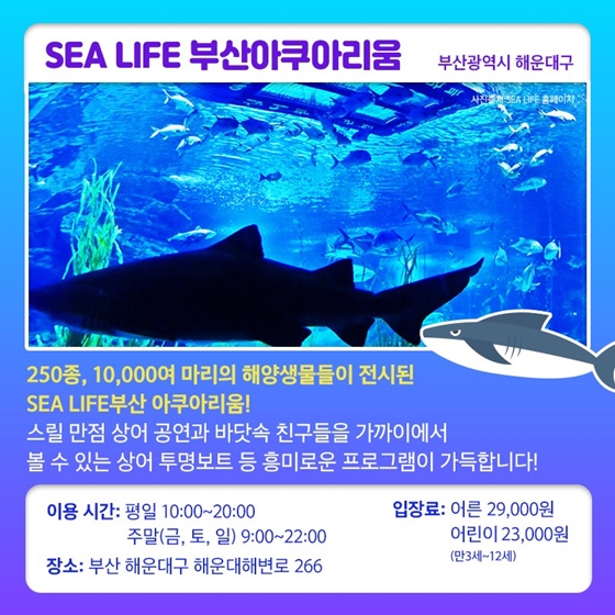 푸른 바닷속 세상을 만날 수 있는 아쿠아리움으로 떠나요!