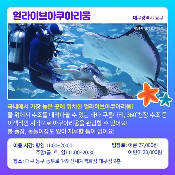 푸른 바닷속 세상을 만날 수 있는 아쿠아리움으로 떠나요!