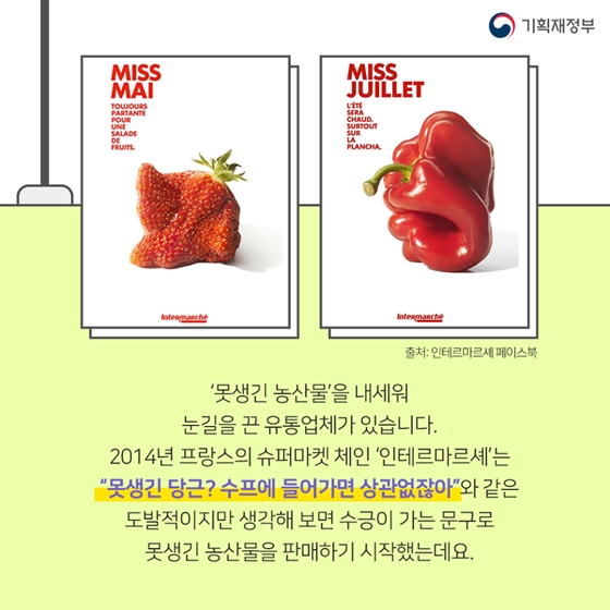 못생겨도 괜찮아! 푸드리퍼브