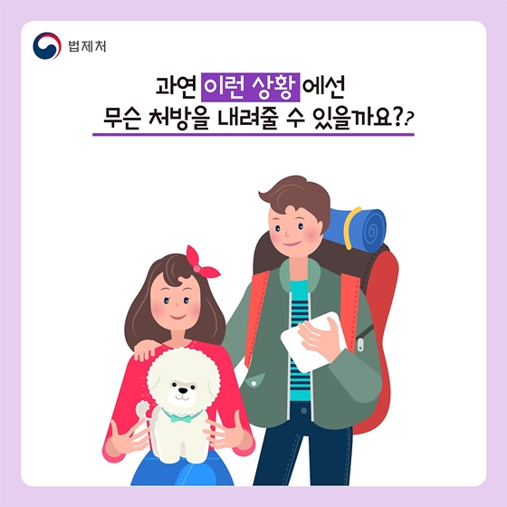 반려견과 함께 해외여행을 가려면?