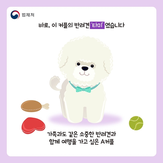 반려견과 함께 해외여행을 가려면?