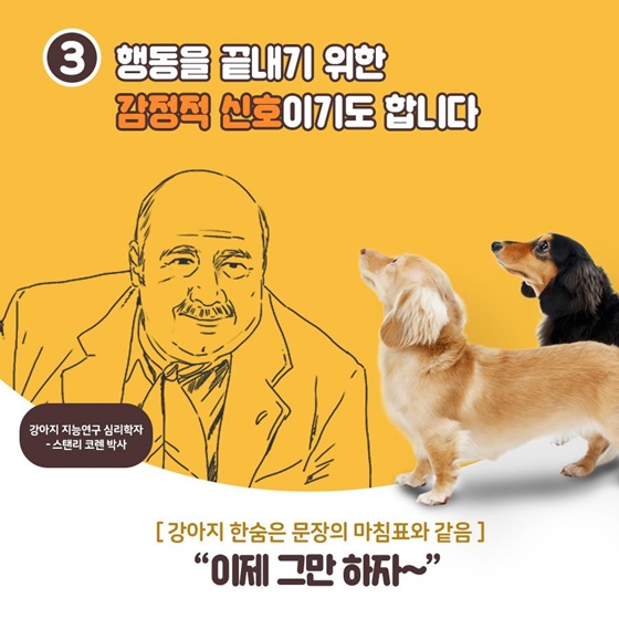 “우리 집 강아지가 한숨을 쉬어요” 아는 만큼 보이는 그들의 신호!