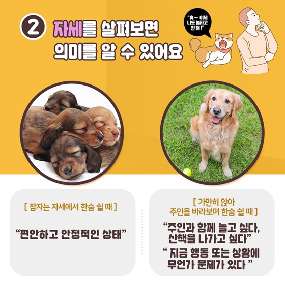 “우리 집 강아지가 한숨을 쉬어요” 아는 만큼 보이는 그들의 신호!