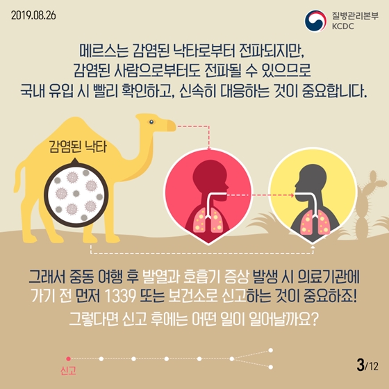 메르스 의심 증상으로 1339에 문의한 후에는?