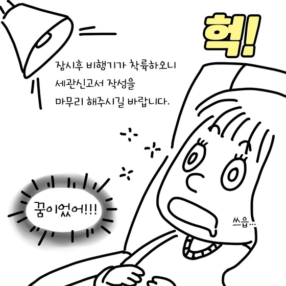 여행자 휴대품 자진신고로 세금감면 혜택 받아요