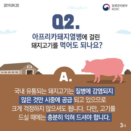 아프리카돼지열병은 사람에게 감염되지 않습니다