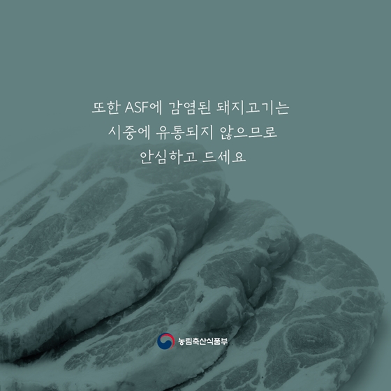 아프리카돼지열병이 사람을 위협하는 돌연변이가 될 수 있나요?