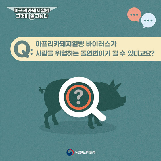 아프리카돼지열병이 사람을 위협하는 돌연변이가 될 수 있나요?