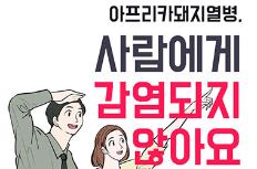 아프리카돼지열병은 사람에게 감염되지 않아요!