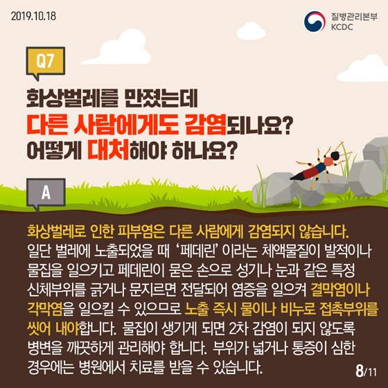 청딱지개미반날개가 궁금해요!