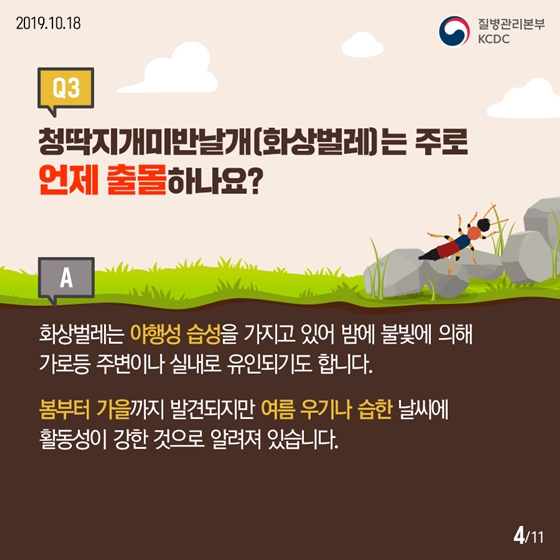 청딱지개미반날개가 궁금해요!