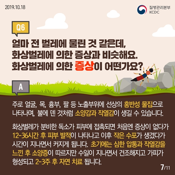 청딱지개미반날개가 궁금해요!