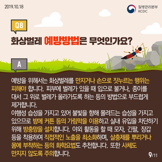 청딱지개미반날개가 궁금해요!