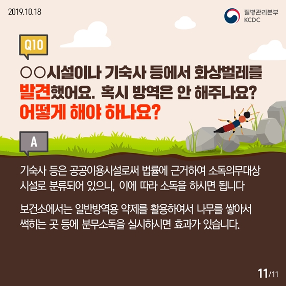 청딱지개미반날개가 궁금해요!