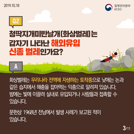 청딱지개미반날개가 궁금해요!