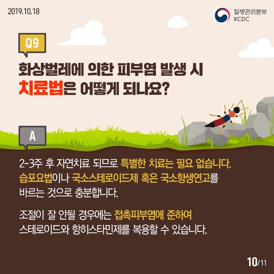 청딱지개미반날개가 궁금해요!