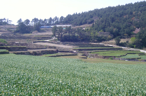 청산여수길(구들장논)